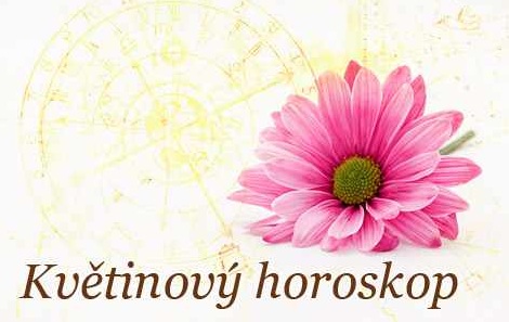 Kvtinov horoskop (Wahlgrenis), nov vdy ve tvrtek.